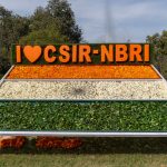 CSIR NEIST Recruitment 2026: Is It the Best Opportunity for You?